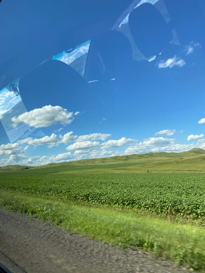 The image is taken from inside a vehicle, looking out through the windshield at a rural landscape. The sky is a vibrant blue with scattered white, fluffy clouds. The foreground shows a gravel road on the left and a strip of green grass. Beyond that, a vast, flat field of green crops stretches towards rolling, verdant hills in the distance. The reflections on the windshield suggest the interior of the car, including seats and potentially a rearview mirror. There are no people clearly visible in the image, and no specific landmarks are identifiable to confirm the location in Тазларово, Russia. The scene depicts a bright, sunny day in a cultivated rural area.