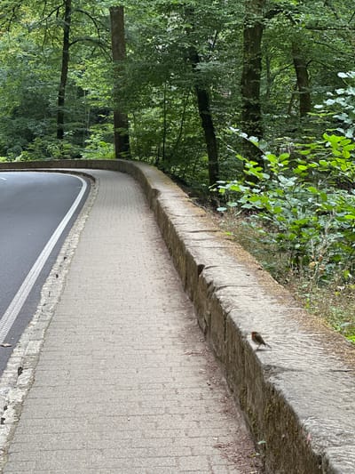 The image shows a curved stone wall bordering a paved walkway next to a road. A small bird is perched on the wall. The scene is set in a forest with lush green trees. The specific location in Waldbillig, Luxembourg, is not discernible from the image. There are no people present, and no apparent actions or interactions are occurring, other than the bird's presence on the wall. The environment is natural and serene.