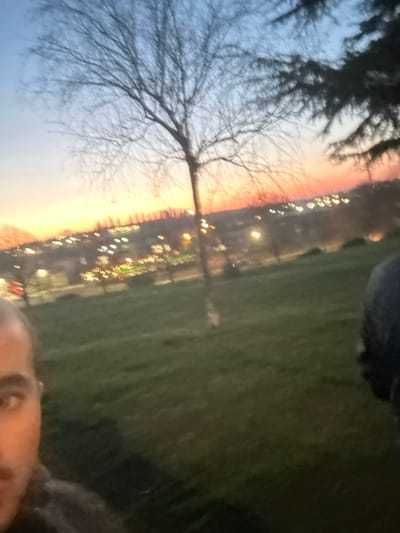 A blurry, rotated photo shows a sunset sky transitioning from orange to blue. A bare tree with thin branches stands against the colorful sky. Streetlights blur in the distance. Patches of green grass and tree foliage are visible. A portion of a person's face appears at the bottom of the frame.