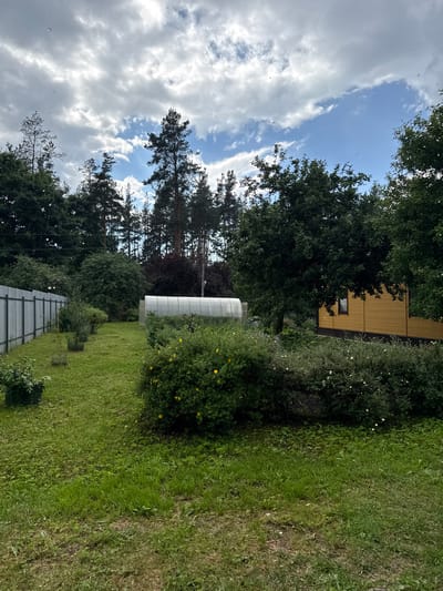 The image depicts an outdoor scene with a focus on a residential backyard. The setting appears to be a suburban or rural area, given the presence of mature trees, a well-maintained lawn, and a greenhouse.
In the mid-ground, a white, tunnel-like greenhouse is visible, suggesting gardening or agricultural activity. To the left of the greenhouse, a section of a wooden building, possibly a house or shed, with a yellow exterior and a small window, is partially obscured by trees. The foreground is dominated by lush green grass, with a metal fence running horizontally across the lower portion of the image. There are several small trees or shrubs planted in the yard, some of which are enclosed in protective netting.
The background is filled with a variety of trees, including tall evergreens and deciduous trees. The sky above is a mixture of blue sky and fluffy white clouds, indicating a partly cloudy day. The lighting suggests it is daytime, likely late morning or early afternoon. The overall impression is one of a peaceful, possibly summer or late spring day. There are no people visible in the image. No text is discernible.