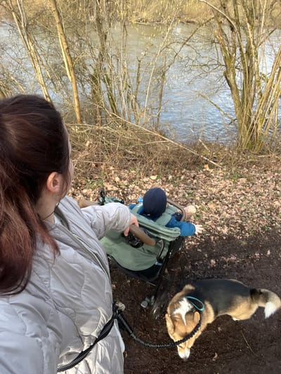 A female subject, an infant in a stroller, and a dog are positioned on a dirt path adjacent to a river in Staudernheim, Germany. The adult female, with dark brown hair in a ponytail, is partially visible from the back-right, wearing a light grey quilted jacket. A black and white reflective leash is attached to her left hip. An infant, wearing a dark blue beanie and blue apparel, is seated in a light green stroller with dark brown handlebars, situated slightly in front and to the right of the adult. A tri-color Pembroke Welsh Corgi, primarily brown with black and white markings, is on a blue leash connected to the adult's waist leash, standing on the muddy path and looking downwards. The river, exhibiting light ripples, forms the background, bordered by numerous leafless deciduous trees and dense brush along its banks. The ground consists of dark brown soil and scattered dry leaves, indicating a cooler season.