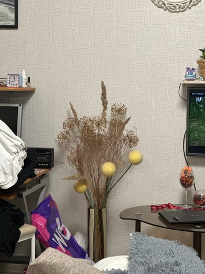 The scene presents an indoor setting, possibly a room within a residence, located in the city of Советско-Никольское, Russia. The decor is a mix of functional and decorative elements against a wall with a light-colored, textured wallpaper.

A television is mounted on the wall, and below it, a collection of decorative items including vases with dried floral arrangements and stemmed glassware. The flowers appear to be mostly dried grasses and pom-pom-like flowers in shades of brown and yellow.

A shelf or surface below supports miscellaneous items, including what appears to be a laptop or electronic device, and various textiles.

In the lower part of the frame, a smaller, older monitor and a small clock are visible amongst a pile of folded or crumpled clothing items. A radio is nearby. The assortment of clothing and other objects suggests a storage area or a space where items are casually placed. A shopping bag from Whataburger is present.