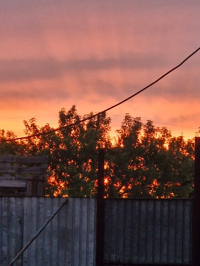 An outdoor shot captures a rural scene at dusk. The sky is a vibrant gradient of orange and pink, with subtle gray clouds. A dark power line stretches diagonally across the upper right portion of the frame. Silhouetted against the colorful sky is a dense line of green trees, their leaves illuminated by the setting sun, creating a fiery glow. In the foreground, a weathered wooden fence runs horizontally, its gray planks showing signs of age. To the left of the fence, a portion of a wooden structure, possibly a shed or an outbuilding, is visible. The overall impression is a serene, natural landscape with signs of human habitation.