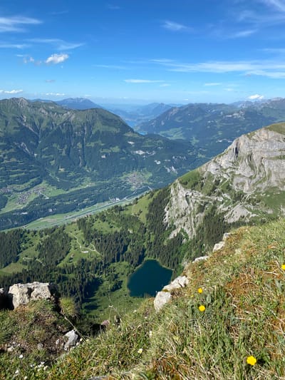The image captures a panoramic view of the Swiss Alps, likely taken from a high vantage point on Axalp, Switzerland. In the foreground, a steep, grassy slope is dotted with small yellow wildflowers and a few rocks. The terrain descends sharply into a lush green valley below, densely populated with evergreen trees. A small, dark blue lake is nestled within the valley, surrounded by trees. Further into the distance, the valley opens up, revealing scattered buildings and a winding road that travels through the landscape. The backdrop is a series of majestic, layered mountain ranges under a bright blue sky with scattered white clouds. The overall scene depicts a serene and expansive natural landscape.