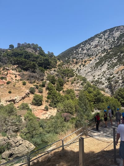 The image depicts a group of people wearing blue hard hats walking along a path on a sunny day in a mountainous, arid landscape. The path is bordered by a metal railing. In the foreground, dry, golden grass covers the ground, with shadows cast by the railing. The middle ground features lush green trees and shrubs, with a small, clear body of water visible to the left. The background consists of a steep, rocky mountain slope covered in scattered green vegetation and trees. The sky is a clear, bright blue. The scene is likely part of the Caminito del Rey in Ardales, Spain, a well-known hiking trail through a gorge.