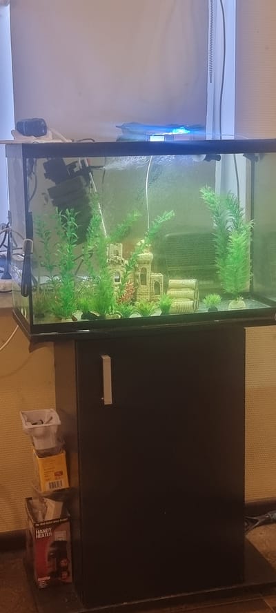 The image shows an aquarium with artificial plants and a castle decoration, placed on a black cabinet. The cabinet has a silver handle. To the left of the cabinet are stacked boxes, one of which is yellow and has text on it, and another is a red box labeled "HANDY HEATER". The background wall is light-colored, and there is a white vertical object on the right side of the frame. The aquarium has a blue light on top. The scene is indoors. There is no indication of the city of Chernomorskiy, Russia in the image.