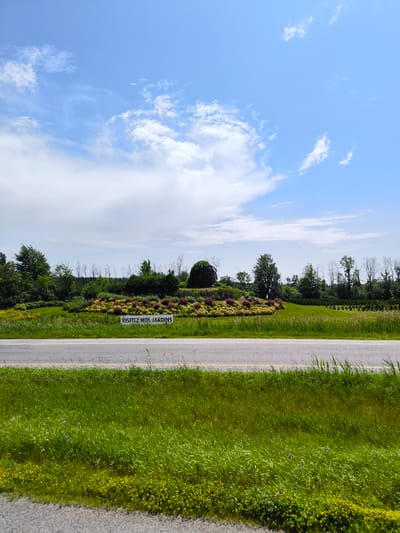 This is a wide, landscape-oriented photograph of a scenic roadside attraction in Vaudreuil-Dorion, Canada. The foreground is dominated by a paved road with a yellow dividing line, bordered by lush green grass and small yellow wildflowers. Beyond the road, a vibrant garden display is visible, featuring a large, dark sculpture of a face with greenery growing on its head. The sculpture is part of a mound of colorful plants, including red and yellow bushes, set against a backdrop of green trees and a clear blue sky with scattered white clouds.

A white sign with black text is placed in front of the garden, reading "VISITEZ NOS JARDINS" (Visit Our Gardens). The overall scene suggests a pleasant, sunny day, likely mid-morning or early afternoon, given the bright lighting and clear sky. The setting appears to be a well-maintained public space, possibly a park or botanical garden, designed to attract visitors. The image evokes a sense of invitation and natural beauty.