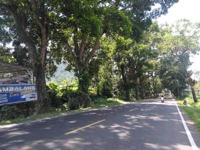 The image displays an asphalt road in Cugenang, Indonesia, under bright daylight conditions. The road features a dashed yellow center line and a solid white line marking the right shoulder. Numerous mature trees with dense green foliage line both sides of the road, extending upwards and creating dappled shadows across the pavement.
On the left side of the road, a blue and white banner advertising "AMBALANG Car Wash," detailing "Mobil Motor Mobil" services, is prominently displayed on a structure with a corrugated metal roof. Behind this structure and the trees, lush green vegetation and a distant green mountain are visible. A narrow ditch or stream runs parallel to the road on this side.
On the right side of the road, a white motorcycle with a single rider travels away from the viewer. Further down the road, a yellow light-utility vehicle is also proceeding in the same direction. A person is observed squatting or kneeling on the grassy right shoulder of the road, adjacent to the yellow vehicle. The sky visible above the tree line is clear and bright.