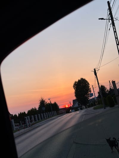 The image captures a sunset scene in Mordarka, Poland, viewed through a car window. A dog is visible in the foreground on the right side of the frame, facing away from the camera. The road stretches towards the horizon, with houses and trees lining its sides. Overhead, power lines and a street lamp are prominent features against the colorful sky. The setting sun, a bright orange orb, is visible in the distance. The overall impression is a tranquil evening in a suburban or semi-rural setting.
