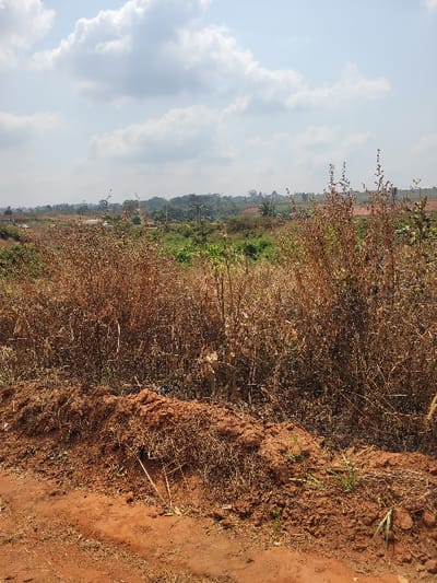 The image displays an outdoor landscape in Nwofia, Nigeria, under a partly cloudy sky. The immediate foreground shows a reddish-brown dirt path on the left and a prominent mound of disturbed reddish-brown earth on the right, interspersed with dried plant matter and sparse green shoots. The midground is dominated by a dense field of tall, desiccated brown vegetation. Beyond this dry vegetation, a layer of green foliage is visible, followed by distant rolling terrain characterized by trees, green vegetation, and faint outlines of structures. No persons, direct actions, or interactions are observed.