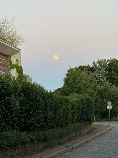 The image captures a full moon visible in a pale sky, with the moon appearing as a bright, yellowish orb. The scene is dominated by lush green foliage, including tall trees and dense bushes that create a natural barrier. To the right, a paved pathway with red brick edging runs alongside the greenery, suggesting an urban or suburban setting. A street lamp with a circular sign featuring red and white elements is mounted on a pole amidst the trees. In the foreground, a portion of a building is visible, characterized by a sloped roof and brickwork. Green ivy is growing on the side of the building, adding to the natural elements. The lighting suggests it is either dawn or dusk, with the sky being a light, hazy color. No people are present in the image, and no text is clearly legible. The overall impression is a serene, naturalistic scene juxtaposed with hints of human infrastructure.