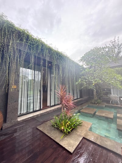 A low-angle shot depicts a building's exterior with lush greenery covering the walls. A series of windows with visible curtains offer a glimpse into the interior. Adjacent to the building, a pool with tiled accents is visible. A wooden deck borders the pool, featuring a built-in planter with vibrant foliage, including red-tinged leaves. The sky is overcast, casting a soft, diffused light over the scene.