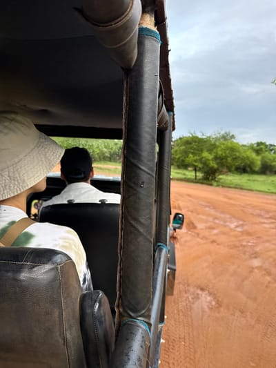 Looking out from the interior of an open vehicle, a man in a black cap is seen in the backseat, wearing a white shirt with green patterns. The vehicle has black, leather padded bars overhead. Through the bars, a dirt road stretches into the distance, with green trees and foliage lining the left side of the road under an overcast sky. The interior of the vehicle appears well-worn.