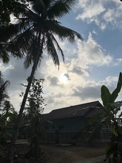 The image depicts a residential scene in Tambakreja, Indonesia. A traditional house with a dark tiled roof is visible in the middle ground, silhouetted against a sky filled with white and gray clouds. The sun is partially obscured by the clouds, casting a bright glow in the upper center of the frame. In the foreground and to the left, the fronds of a large palm tree dominate the scene, with its trunk extending vertically. To the right, large, lush green banana leaves are prominent. The ground in the foreground appears to be dirt or unpaved. Several other smaller structures and vegetation are visible in the background, suggesting a rural or semi-rural setting. The overall impression is one of a warm, tropical day with diffused sunlight.