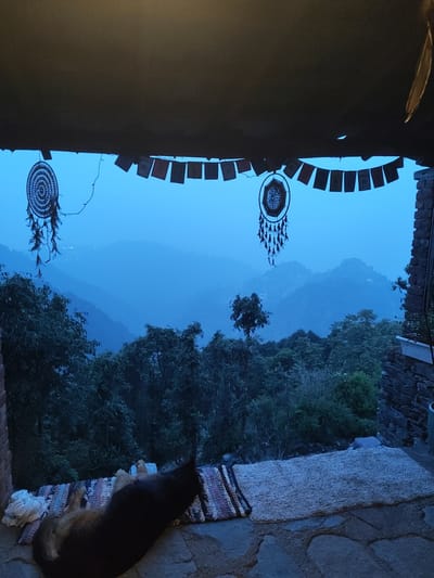 The image shows a view from what appears to be a porch or covered outdoor space in Qila Nathu Singh, India. The landscape is dominated by rolling hills and trees, likely part of the Himalayan foothills. The sky is a deep blue, suggesting either early morning or late evening light. Two dreamcatchers and a string of prayer flags hang from the porch ceiling. Below, a dog lies on a rug. The porch floor is made of flagstone. The walls are constructed of rough stones.