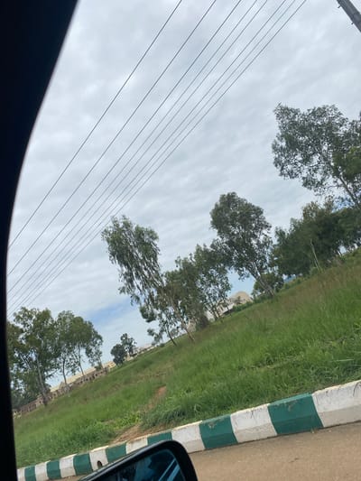The image shows a view from inside a vehicle, looking out at a landscape. The foreground is dominated by the dark interior of the car and a side mirror reflecting the sky.
The main subject of the scene is a roadside environment. On the right side of the image, there is a paved road with a distinct kerb made of alternating white and green painted blocks. Adjacent to the kerb is a stretch of lush green grass.
Further into the scene, there are several large trees with dense foliage, casting shadows on the ground. Beyond the trees, a row of buildings is visible, appearing to be under construction or recently built, with a light-colored facade. The sky is overcast with a light cloud cover, suggesting a temperate or humid weather condition. The overall impression is that of a drive through a suburban or semi-rural area in Nigeria, possibly during the daytime. There is no visible text in the image. The orientation of the image suggests it was taken while the vehicle was in motion.