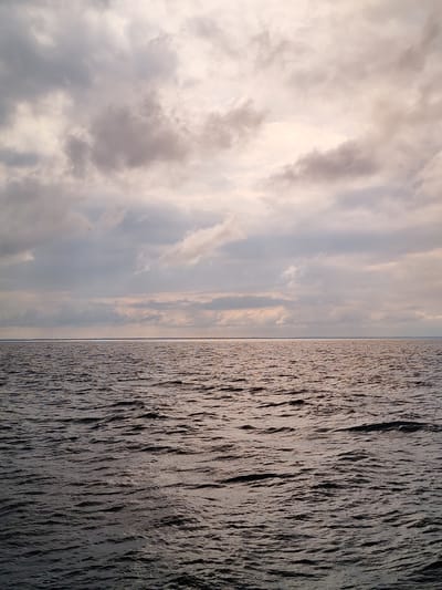 A wide shot captures a dark, choppy body of water stretching to the horizon under a cloudy sky. The water is a deep, muted gray with ripples reflecting the soft, diffused light from the sky. A thin, bright line of sunlight is visible on the horizon, separating the water from the distant land or shore. The sky is filled with a mix of dark gray and lighter, pastel-colored clouds, with some areas appearing almost pinkish or peachy, suggesting it might be dawn or dusk. No people or specific objects are visible in the scene, creating a vast and somewhat somber natural landscape. The location is identified as Shchetinskoe, Russia.