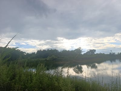 The image depicts a calm body of water, likely a river or lake, with dense green vegetation lining the shore. The sky is overcast with dramatic, heavy clouds, but there are patches of lighter sky and sunlight breaking through, creating reflections on the water's surface. The reflections show the trees and the sky. A fishing rod is visible in the upper right corner, extending into the frame, suggesting someone is fishing. The overall scene is natural and serene, with no visible people or buildings. The location is identified as Yaroslavsky, Russia.