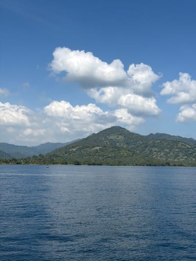 The image depicts a tranquil scene of the sea with a lush, green mountainous island in the background under a bright blue sky dotted with fluffy white clouds. In the foreground, the deep blue water is rippled, suggesting a calm day. Along the shoreline of the island, dense vegetation, likely palm trees, forms a verdant border. The mountains themselves are covered in greenery, with some lighter patches indicating cleared areas or different types of foliage. A single, small green and white buoy is visible in the water, marking its presence. The overall impression is one of natural beauty and serenity, characteristic of a tropical coastal environment. The scene is consistent with coastal areas near Pemenang Timur, Indonesia, known for its natural landscapes and clear waters.