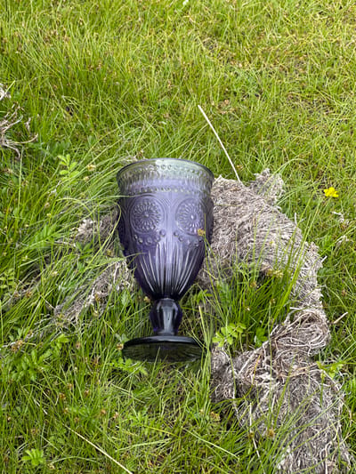 In a grassy area, likely in Bolshaya Rechka, Russia, a dark purple, ornate glass goblet rests on a bed of dried, fibrous material. The goblet, with its detailed embossed pattern, is the central subject, positioned amongst vibrant green grass and scattered smaller plants. A single yellow wildflower is visible in the upper right quadrant of the image. The overall scene suggests an outdoor, natural setting.