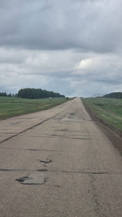 The image, captured near Солояз, Russia, depicts a long, straight, two-lane asphalt road extending into the distance under a heavily overcast sky. The sky is dominated by layered, grey clouds, indicating diffuse, flat lighting with no direct sunlight.
The asphalt road surface is significantly deteriorated, characterized by extensive longitudinal and transverse cracks, alligator cracking, and numerous distinct potholes varying in size and depth, particularly concentrated in the center of the lanes. Some dark patches on the road surface suggest moisture or recent repairs.
Green fields flank both sides of the road, ascending gently toward the horizon. To the left, a dense line of dark green coniferous trees forms a natural boundary against the sky. A small white sign with faded red text, possibly indicating a distance marker like "17KM," is visible on the left shoulder approximately midway down the visible road.
On the right side, a series of slender utility poles with horizontal cross-arms extends linearly into the distance, paralleling the road. The road itself recedes towards a crest in the far distance, obscuring anything beyond.
No individuals, vehicles, or animals are present in the scene, rendering it desolate. The overall color palette is muted, consisting primarily of various shades of grey from the sky and road, and dark greens from the vegetation. The perspective is low, looking directly down the road toward the distant horizon.