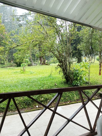 The image displays an outdoor scene in Pachmarhi, India, observed from a covered vantage point. In the foreground, a dark brown wooden railing with an X-pattern lattice design spans the lower third of the frame. Below the railing, a light-colored tiled floor is visible. Beyond the railing, a vibrant green lawn extends across the midground. Several trees with lush green foliage and visible trunks populate the background, one with multiple lighter-colored, slender trunks standing prominently slightly right of center. A smaller green plant grows independently in the lawn to the left of center. The upper background shows an overcast or hazy sky. Directly overhead, a white corrugated metal awning with parallel linear patterns is visible, from which dark wires or cables hang vertically on the right side. No individuals are present, and no specific actions or interactions are depicted.