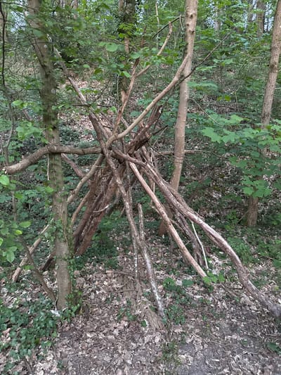 A woodland scene, likely in Bures-sur-Yvette, France, is depicted during what appears to be daytime with diffused light, possibly due to overcast conditions or dense tree cover. The central feature is a large, irregularly shaped pile of dry, weathered tree branches and small logs. This arrangement of wood could be a natural accumulation, a brush pile, or a makeshift shelter.
Surrounding this central structure, and extending into the foreground and background, are numerous living trees with vibrant green leaves, suggesting a dense forest or wooded area. The ground beneath the trees and branches is covered with a mix of fallen brown leaves and patches of green ground cover, possibly ivy. No people are visible, and there is no active event taking place, though the arrangement of branches might imply prior human activity. No text is visible anywhere in the image.