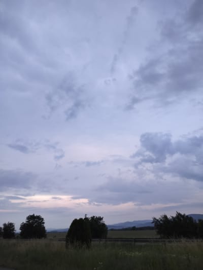 This image depicts a tranquil outdoor landscape scene at twilight in Tazha, Bulgaria. The upper two-thirds of the frame are occupied by an overcast sky, characterized by dense, stratiform clouds ranging in color from light lavender-grey in the upper areas to darker, more textured grey formations lower down. A faint, pale pinkish-white band of light is visible along the horizon line, suggesting either dawn or dusk. The lower third of the image features a terrestrial environment. The immediate foreground consists of an expanse of tall, dried grasses with some interspersed green foliage. A dark, horizontal barrier, possibly a roadside guardrail, traverses the midground, partially concealed by the vegetation. Behind this barrier, a cluster of deciduous trees and a distinct, dark green, conical evergreen shrub stand prominently. In the far distance, a chain of mountains or hills appears as a hazy, dark blue silhouette against the pale horizon. There are no human subjects, animals, or man-made structures beyond the implied barrier and distant faint landscape features. The lighting is low, creating a soft, subdued atmosphere across the scene.