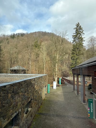 An outdoor scene in Vavřinec, Czechia, depicts a paved courtyard area flanked by two buildings, set against a backdrop of a dense, bare deciduous forest covering a hillside under a partly cloudy sky.
The building on the left features a flat roof and a façade constructed from stacked natural stone, with visible rectangular windows at ground level. A green vertical sign marked "dětská herna" (children's playroom) is positioned near its visible corner. The building on the right is a wooden structure with a dark, pitched roof and an open-sided porch supported by several thick, cylindrical wooden columns. A green vertical sign labeled "expozice" (exhibition) with colored rectangles is attached to its corner.
The ground between these structures is paved with irregular cobblestones, showing some wear and sparse moss growth. A distinct shadow stretches across the paved area from the right. Two white rectangular information boards on metal stands and a dark wooden picnic table with benches are situated in the central mid-ground. Beyond these, a brown wooden railing of a bridge or elevated walkway and bicycle racks are visible, leading into the forested area.
The background is dominated by a steeply sloped hill covered in a dense forest of bare deciduous trees, indicating late autumn or winter. A single, tall coniferous tree stands prominently on the right side of the frame, contrasting with the surrounding bare branches. In the mid-ground, within the left side of the forest, a small, dark building with a distinctive multi-gabled roof is partially visible. The sky overhead features scattered white and grey clouds with patches of blue. No people or animals are present.