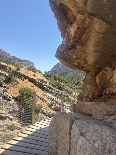 The image depicts a wooden walkway secured by metal cables and wire fencing, built along a steep, rocky mountainside. The walkway appears to be part of a scenic trail, possibly a hiking path or an adventure route. Large rock formations overhang the path, creating a dramatic and somewhat enclosed atmosphere.

The scene is set in a mountainous, arid environment, with sparse vegetation consisting of dry grasses and scattered green shrubs and trees clinging to the slopes. The rugged terrain suggests a natural, possibly remote, location. The clear blue sky indicates good weather, and the sunlight casting shadows on the wooden planks suggests it is daytime, likely mid-morning or afternoon.

The perspective of the image is from the walkway, looking outwards and upwards into the natural landscape. The emphasis is on the man-made structure integrated into the natural environment, highlighting the engineering involved in creating such a path. The protective fencing suggests a significant drop or a precarious position, adding an element of thrill to the experience. The overall impression is one of adventure and exploration in a beautiful, natural setting.

There is no visible text in the image. The location context provided is Ardales, Spain, which aligns with the rugged, mountainous landscape often found in that region.