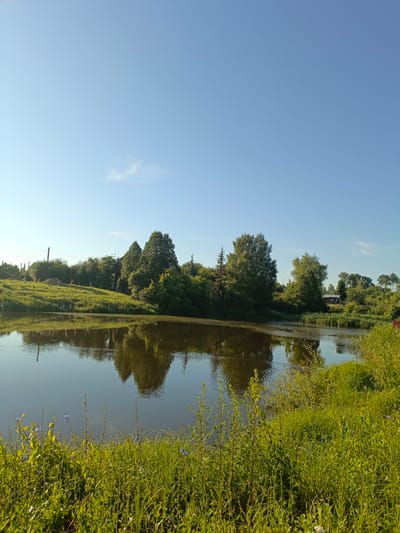 The image depicts a serene landscape at the edge of a body of water, likely a pond or small lake, in the village of Osorgino, Russia. The sky is a clear, bright blue with a few wispy clouds visible in the upper portion. The water's surface is calm and reflects the surrounding greenery and trees. The foreground is dominated by lush green grass and vegetation, with some small blue flowers scattered among the taller stalks.
Across the water, a gently sloping grassy bank is covered in trees and bushes. In the distance, several houses or buildings are partially visible, nestled among the trees. A power line with poles and wires runs along the left side of the image, indicating the presence of human infrastructure in the otherwise natural setting. The overall atmosphere is peaceful and evokes a sense of rural tranquility. There are no people or animals visible in the scene. The lighting suggests it is daytime, likely morning or late afternoon due to the soft quality of the light and the clear sky.