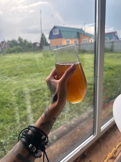 A hand with tattoos and a black leather bracelet with silver adornments holds a clear glass containing a golden-orange liquid. The glass is tilted, with the liquid filling about two-thirds of it, and water droplets are visible on the outside of the glass. The scene is viewed from behind a window, with the glass and hand in the foreground.

Through the window, a blurred background shows a green, grassy field with several houses. One house is painted orange and brown, with a green roof. Another house is blue and purple with a white window. The sky above is overcast, with hints of a rainbow visible in the far left. The overall impression is that of an outdoor, rural setting, possibly a dacha or country house, in the daytime. The presence of the drink suggests a moment of relaxation or enjoyment. The tattoos on the hand and the style of the bracelet suggest a specific aesthetic of the person holding the glass.