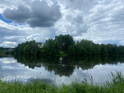The image depicts a calm lake or pond reflecting a cloudy sky and a line of trees in Bogoslovo, Russia. The foreground features green grass. The water's surface mirrors the shapes and textures of the sky and trees. The trees line the opposite shore, forming a dense green barrier. The sky is overcast with varied cloud formations, ranging from light and wispy to dark and heavy.