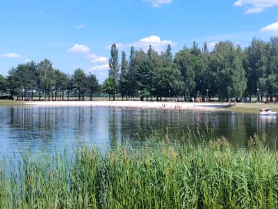 The image shows a sunny day at a beach resort on a lake. In the foreground, tall green reeds line the edge of the water. The lake is calm and reflects the trees and sky. In the middle ground, a sandy beach is populated by numerous people, some of whom are swimming or wading in the shallow water. The background features a dense line of trees, with a few people visible amongst them. A small white boat with an orange trim is moored on the right side of the lake. The sky is a bright blue with scattered white clouds. The scene suggests a recreational area in the city of Malaryta, Belarus, likely a popular spot for leisure activities during warm weather.