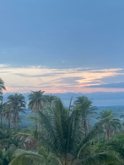 The image displays a serene tropical landscape, likely captured during either sunrise or sunset. The upper portion of the frame features a clear, wide expanse of blue sky, transitioning from a deeper blue overhead to lighter, more diffused tones closer to the horizon. Streaky, elongated clouds, predominantly white, are adorned with delicate pink and orange hues, indicative of the golden hour light.
The lower and right sections of the scene are filled with lush, dense tropical foliage. Numerous prominent palm trees with their characteristic long, fronded leaves dominate the foreground and midground, their vibrant green contrasting with the soft colors of the sky. Beyond the immediate trees, a hazy distant landscape is visible, suggesting rolling terrain or a body of water receding into the atmospheric perspective.
No people or specific activities are depicted, emphasizing the natural tranquility of the setting. The abundance of palm trees strongly suggests a tropical or subtropical climate, consistent with the Amaigbo, Nigeria location. The overall atmosphere is peaceful and calm. There is no visible text in the image.