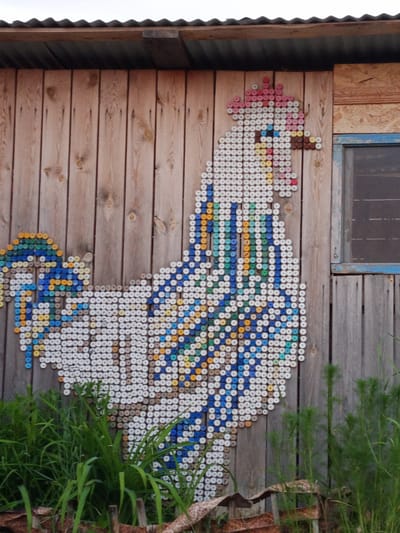 A mosaic of bottle caps, forming the image of a rooster, is affixed to the exterior wooden wall of a building in the village of Pankrushikha, Russia. The rooster mosaic is predominantly white, with accents of blue, yellow, green, and pink caps creating its features and plumage. The building's wall is constructed from vertical wooden planks. To the right of the rooster mosaic, a window with a blue frame is visible. In the foreground, lush green grass and some vegetation grow. The scene is under a corrugated metal roof.