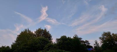 The image depicts a clear sky with wispy, light pink clouds stretching across it. In the foreground, a dense line of dark green trees forms a natural silhouette against the sky. To the far right, the peak of a blue-roofed building is visible amongst the trees, suggesting a rural or suburban setting. The overall scene is serene, possibly captured during twilight or dawn. The location is the city of Aleksandrovsk-Sakhalinskiy, Russia. There are no people or discernible actions taking place in the image.