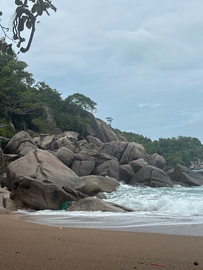 Rocky coastline with a beach. Large grey boulders cascade down to meet the sand and water. Waves crash against the rocks and shoreline. Green foliage and trees grow on and around the rocks. The sky is overcast and pale grey. A branch from a tree extends into the frame from the lower left. A red plastic straw is visible on the beach.