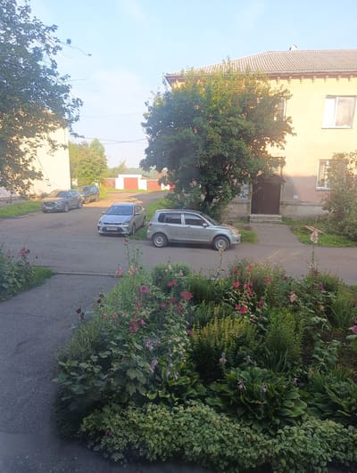 The image depicts a residential courtyard in Tayazhyn, Russia, on a clear day with a pale blue sky. In the foreground, a lush flowerbed is filled with various plants, including tall hollyhocks in shades of pink and maroon, hostas with large green leaves, and other smaller green foliage. The flowerbed is bordered by a paved walkway and a street.
Beyond the flowerbed, the courtyard is paved with asphalt and features several parked cars. From left to right, a dark gray Hyundai SUV is parked, followed by a darker SUV. Further to the right, a silver Kia sedan is parked, and to its right, a silver minivan is positioned.
In the background, a light yellow, two-story building with a corrugated gray roof is visible. The building has several windows and a dark-colored entrance with a small overhang. Trees with green foliage are scattered around the courtyard and near the building. To the far right, what appear to be garages with red doors are situated. The overall scene is peaceful and suggests a typical residential area.