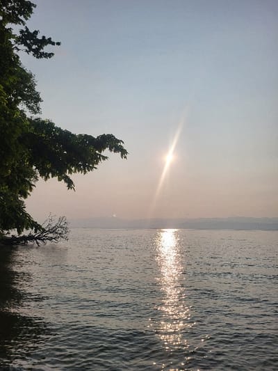 The image shows a body of water, likely Lake Geneva, in Amphion-les-Bains, France.  The sun is shining brightly, reflecting off the water's surface, creating a shimmering effect. A single tree stands near the water's edge, its branches extending out towards the right. The tree is partially obscured by the glare from the sun, but its leaves are visible. In the distance, the opposite shore of the lake can be seen, with a faint haze in the air. There are no people in the image. The sky is a clear blue, with a few wispy clouds.  The overall scene is calm and peaceful, with a sense of tranquility.
