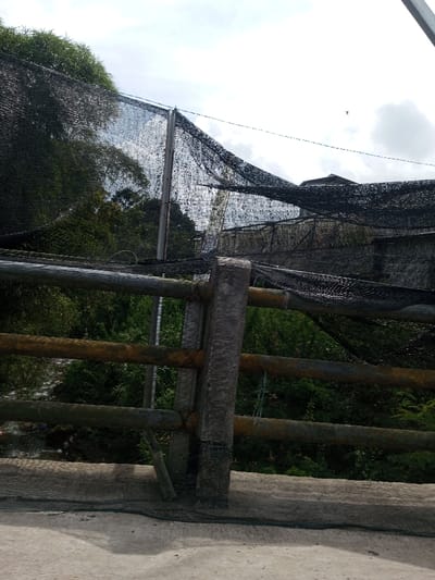 The image depicts an outdoor scene in Namthoung, Laos, characterized by a dominant network of black shade netting over lush vegetation and structural elements under a partially overcast sky. In the immediate foreground, a weathered wooden railing with four horizontal logs and a central vertical post stands on a grey concrete surface. Dark mesh netting is visible at the base of this railing, partially covering the concrete. Beyond the railing, dense green vegetation, including trees and undergrowth, extends into the midground. A narrow, lighter-colored path or stream bed is discernible through the vegetation behind the railing. Above the foliage, an extensive canopy of black shade netting covers a large structure, supported by visible poles, some metallic. This netting shows signs of wear, with visible tears and gaps allowing light to penetrate. In the upper right background, a building roofline is partially visible beneath the netting. The sky is largely bright and cloudy, with a small, dark, indistinct object observed against the clouds in the upper right portion of the frame. No individuals or specific actions are identifiable within the scene.