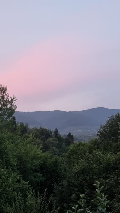 The image depicts a landscape scene from Vyshka, Ukraine, captured during twilight. The sky transitions from a soft pink on the left to a pale blue as it moves towards the right, indicating either sunrise or sunset. In the mid-ground, a series of hazy, blue-toned mountains recede into the distance, their peaks softened by atmospheric perspective. The foreground is dominated by dense, dark green foliage, with lush trees forming a thick border along the right and bottom edges of the frame. Some of these trees have lighter green leaves, suggesting variety in species or light exposure. The overall mood is serene and tranquil, characteristic of the quiet hours of dawn or dusk. There is no visible text in the image.