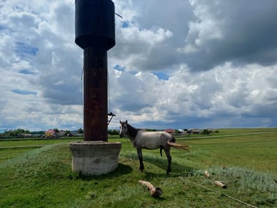 A pale gray horse stands tethered by a rope to a concrete base of a tall, dark, rusted water tower. The horse is positioned in a grassy field with a light brown mane and tail. In the background, a village with various colored houses and fences is visible under a dramatic sky filled with large, dark clouds. The terrain is gently sloping, covered in green grass and some patches of lighter green vegetation. A few pieces of wood are scattered in the foreground of the grassy area. The overall scene depicts a rural landscape in the village of Nigmatovo, Russia.