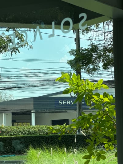 A building with a "SERVICE" sign is partially visible, obstructed by numerous power lines and tree branches. A window reflects more trees and the sky, with white lettering on its surface. Lush green foliage and grass are present on the right side of the frame. The photograph is taken at an angle, giving a rotated perspective.