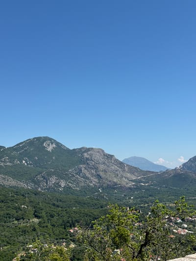 The image depicts a landscape scene in Novoselje, Montenegro. Dominating the view are forested mountains rising against a clear, blue sky. A tree with green foliage is visible on the right side of the frame. Scattered buildings, likely houses, can be seen among the trees on the mountainside. The overall impression is of a mountainous terrain under a bright, clear sky.