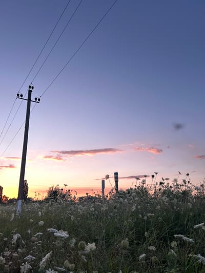 A field of wild Queen Anne's Lace flowers, their white blooms silhouetted against a twilight sky, dominates the foreground of this photograph. The sky transitions from a pale yellow near the horizon, where the sun has recently set, to hues of pink and lavender, and finally to a deep blue overhead. A lone utility pole with power lines stretching diagonally across the frame stands to the left, its base partially obscured by the dense vegetation. In the middle ground, two tall, slender structures, possibly communication towers or industrial chimneys, are visible, their tops silhouetted against the colorful sky. The overall scene depicts a rural or semi-rural landscape at dusk, characterized by natural flora and man-made infrastructure. The location is identified as Dzherokay, Russia. There are no people or animals visible in the image.