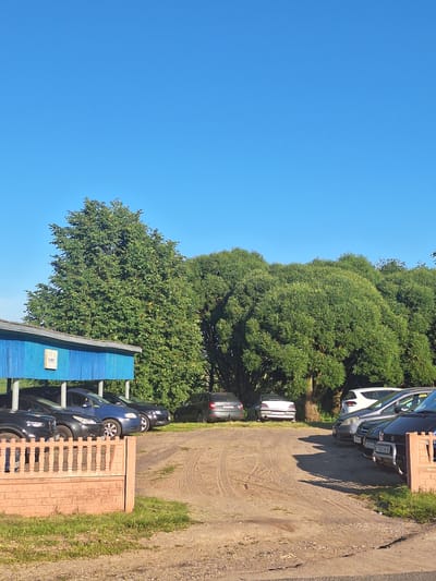 The image depicts a parking lot in a rural area, likely near Цімкавіцкі сельскі Савет, Belarus, on a clear, sunny day. The foreground features a low, reddish-brown brick and stone fence with vertical balusters, bordering a patch of green grass. Beyond the fence, a gravel parking area is visible, showing tire tracks. A blue building with a light-colored roof is situated to the left, behind the fence. Parked under the blue structure are several cars, including a dark-colored sedan, a blue sedan, and another dark-colored sedan. In the middle ground, more cars are parked on the gravel lot, including a silver sedan and a white hatchback. A row of large, lush green trees forms a backdrop behind the parking lot, with one particularly large tree dominating the left side of the image and a dense group of trees on the right. The sky is a vibrant, cloudless blue. No people are visible in the scene.