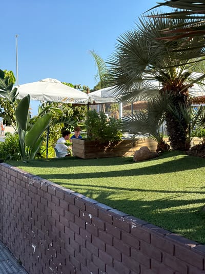 Two young men are seated at a table in an outdoor seating area, partially shaded by a large white umbrella. One man, wearing a blue t-shirt, is looking at the other who is wearing a white t-shirt and jeans. The background features lush greenery, including palm trees and large-leafed plants. An artificial turf lawn is visible to the right, with shadows cast from overhead trees. A brick pathway runs along the edge of the lawn. The setting appears to be a casual outdoor cafe or restaurant, possibly in a Mediterranean climate given the vegetation and clear blue sky. The time of day is clearly daytime, with bright sunlight. Text visible on the umbrella includes "AGUILA" and "JULIO". The scene evokes a relaxed atmosphere.