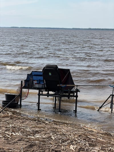 The image shows a fishing setup on a shoreline. The location is presumably in or near Krasnyi Bor, Russia. The water is choppy. A black fishing chair with attached equipment is visible, including fishing rods, a net, and buckets. The chair is positioned partly in the water, with its legs submerged. The shoreline is covered with reeds and sand. The sky is partially visible.