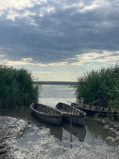 The image depicts a serene natural scene with three wooden boats docked at the edge of a body of water, likely a river or lake, in the city of Manta, Moldova. The boats are weathered and appear to be of a traditional design. They are partially submerged in murky water, with their reflections visible on the surface. The foreground is a muddy bank covered in a thick layer of mud that is reflecting the sky. Lush green reeds or tall grass line the water's edge on both sides, creating a natural barrier and framing the scene. In the background, the water extends to the horizon, where it meets a hazy landscape under a cloudy sky. The clouds are heavy and dramatic, with patches of sunlight breaking through, suggesting an overcast or approaching storm. There are no people visible in the image.